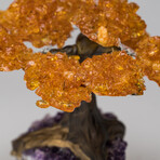 The Money Tree // Genuine Citrine Clustered Gemstone Tree on Amethyst Matrix // Medium