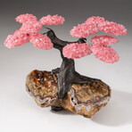 The Comfort Tree // Custom Rose Quartz Clustered Gemstone Tree on Citrine Matrix // V2