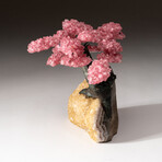 The Comfort Tree // Genuine Rose Quartz Clustered Gemstone Tree on Citrine Matrix // Large