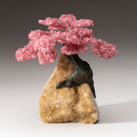 The Comfort Tree // Genuine Rose Quartz Clustered Gemstone Tree on Citrine Matrix // Large