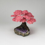 The Love Tree // Genuine Rose Quartz Clustered Gemstone Tree on Amethyst Matrix // Large
