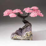 The Love Tree // Custom Rose Quartz Clustered Gemstone Tree on Amethyst Matrix // V2
