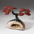 The Safety Tree // Genuine Custom Red Jasper Clustered Gemstone Tree on Citrine Crystal Cluster