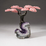 The Love Tree // Custom Rose Quartz Clustered Gemstone Tree on Amethyst Matrix // V1