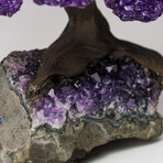 The Protection Tree // Genuine Amethyst Clustered Gemstone Tree on Amethyst Matrix // Small