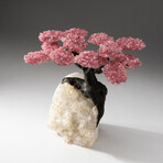 The Wellness Tree // Custom Rose Quartz Clustered Gemstone Tree on White Quartz Matrix