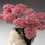 The Wellness Tree // Custom Rose Quartz Clustered Gemstone Tree on White Quartz Matrix