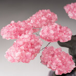 The Love Tree // Custom Rose Quartz Clustered Gemstone Tree on Amethyst Matrix // V2