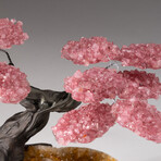 The Comfort Tree // Custom Rose Quartz Clustered Gemstone Tree on Citrine Matrix with Giant Calcite Crystal