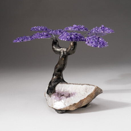 The Protection Tree // Custom Amethyst Clustered Gemstone Tree on Amethyst Matrix // V6