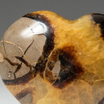 Genuine Polished Septarian Heart + Acrylic Display Stand