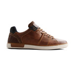 Parler Sneaker // Cognac (Men's Euro Size 40)