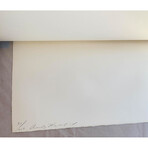 Andy Warhol // Flowers (Hand Colored) II.116  // 1974