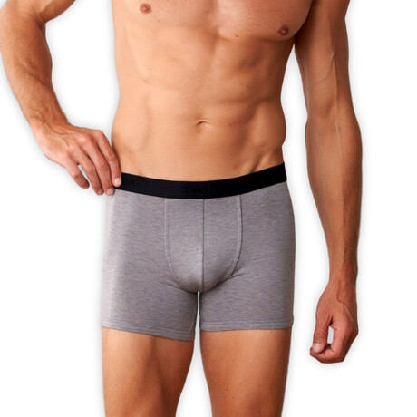 Merino Classic Boxer Brief // Gray (S)