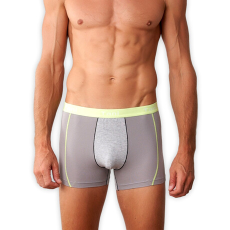 Smart Mesh Boxer Brief // Gray (S)