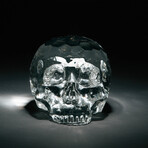 The Hamlet Dilemma Crystal Skull