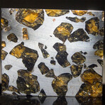 Imilac Pallasite Meteorite