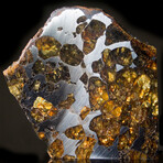 Imilac Pallasite Meteorite // Exterior Part Slice