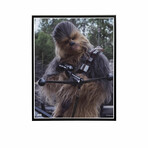 Chewbacca Head Tilt // Star Wars Matted 11x14 Photo (Unframed)