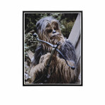 Chewbacca & Bowcaster // Star Wars Matted 11x14 Photo (Unframed)