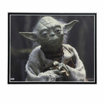 Yoda // Star Wars Matted 11x14 Photo (Unframed)