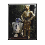 R2-D2 & 3CP0 // Star Wars Matted 11x14 Photo (Unframed)