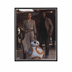 Rey, Finn, BB-8 // Star Wars Matted 11x14 Photo (Unframed)