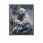 Yoda Holding Stick // Star Wars Matted 11x14 Photo (Unframed)