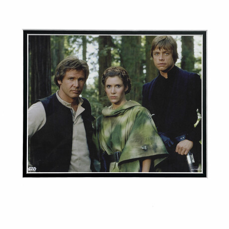 Han Solo, Princess Leia, Luke Skywalker // Star Wars Matted 11x14 Photo (Unframed)
