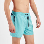 Swim Shorts // Mint (S)