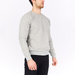 Sweatshirt // Gray (2XL)