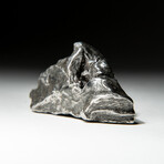 Genuine Natural Sikhote-Alin Meteorite // 68 g