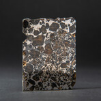 Genuine Seymchan Pallasite Meteorite Slice + Acrylic Display Stand // 22 g