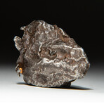 Genuine Natural Sikhote-Alin Meteorite + Display Box // 35 g