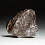 Genuine Natural Sikhote-Alin Meteorite + Display Box // 35 g
