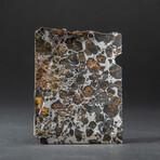 Genuine Seymchan Pallasite Meteorite Slice + Acrylic Display Stand // 22 g
