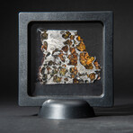 Genuine Seymchan Pallasite Meteorite Slice + Acrylic Display Stand // 29 g