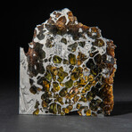 Genuine Seymchan Pallasite Meteorite Slice + Acrylic Display Stand // 69.5 g