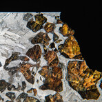 Genuine Seymchan Pallasite Meteorite Slice + Acrylic Display Stand // 29 g