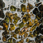 Genuine Seymchan Pallasite Meteorite Slice + Acrylic Display Stand // 69.5 g