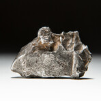 Genuine Natural Sikhote-Alin Meteorite + Display Box // 74 g