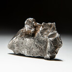 Genuine Natural Sikhote-Alin Meteorite + Display Box // 74 g