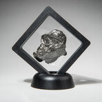 Genuine Natural Sikhote-Alin Meteorite // 63 g