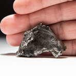 Genuine Natural Sikhote-Alin Meteorite + Display Box // V1 // 46 g