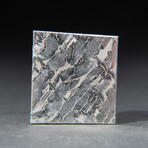 Genuine Natural Seymchan Meteorite Square Slice + Acrylic Display Stand // V2 // 15 g