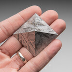 Genuine Natural Seymchan Meteorite Pyramid // 79.3 g