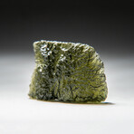 Genuine Natural Moldavite Tektite // 10 g