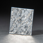 Genuine Natural Seymchan Meteorite Square Slice + Acrylic Display Stand // V2 // 15 g