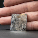Genuine Natural Seymchan Meteorite Square Slice + Acrylic Display Stand // V1 // 15 g