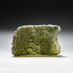 Genuine Natural Moldavite Tektite // 10 g
